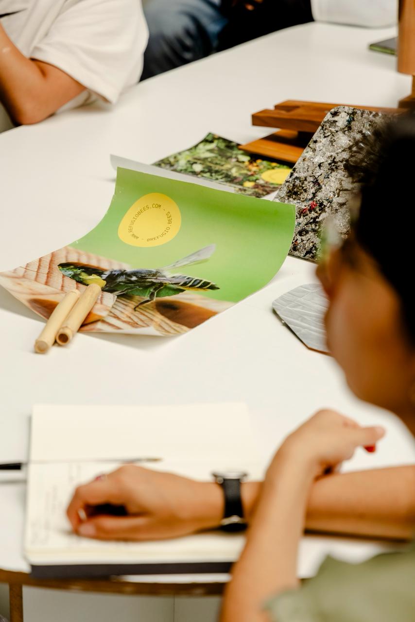 Ayudemos a las abejas nativas