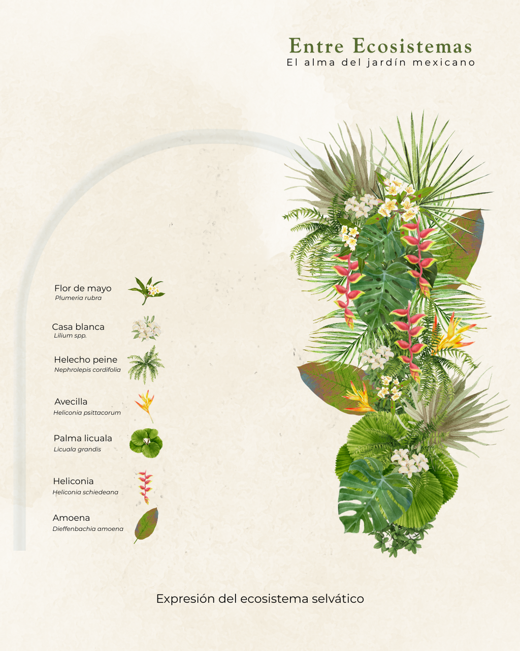 Recorrido Arcos florales