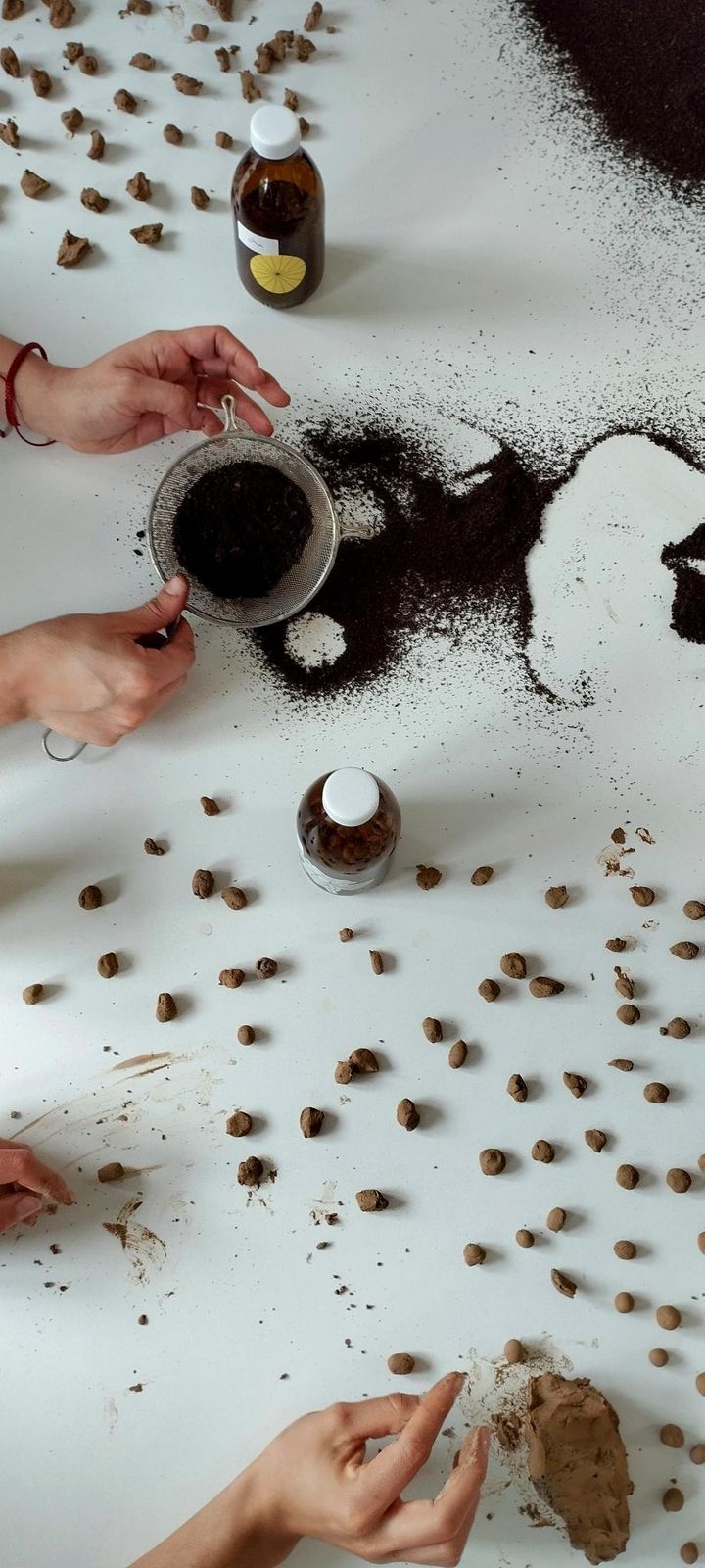 Ayudemos a las abejas nativas