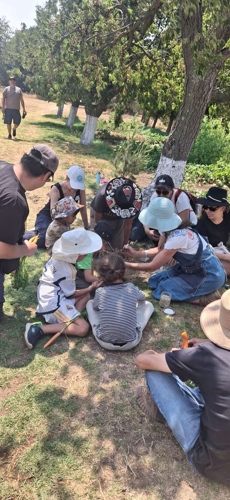 La milpa como jardín vivo