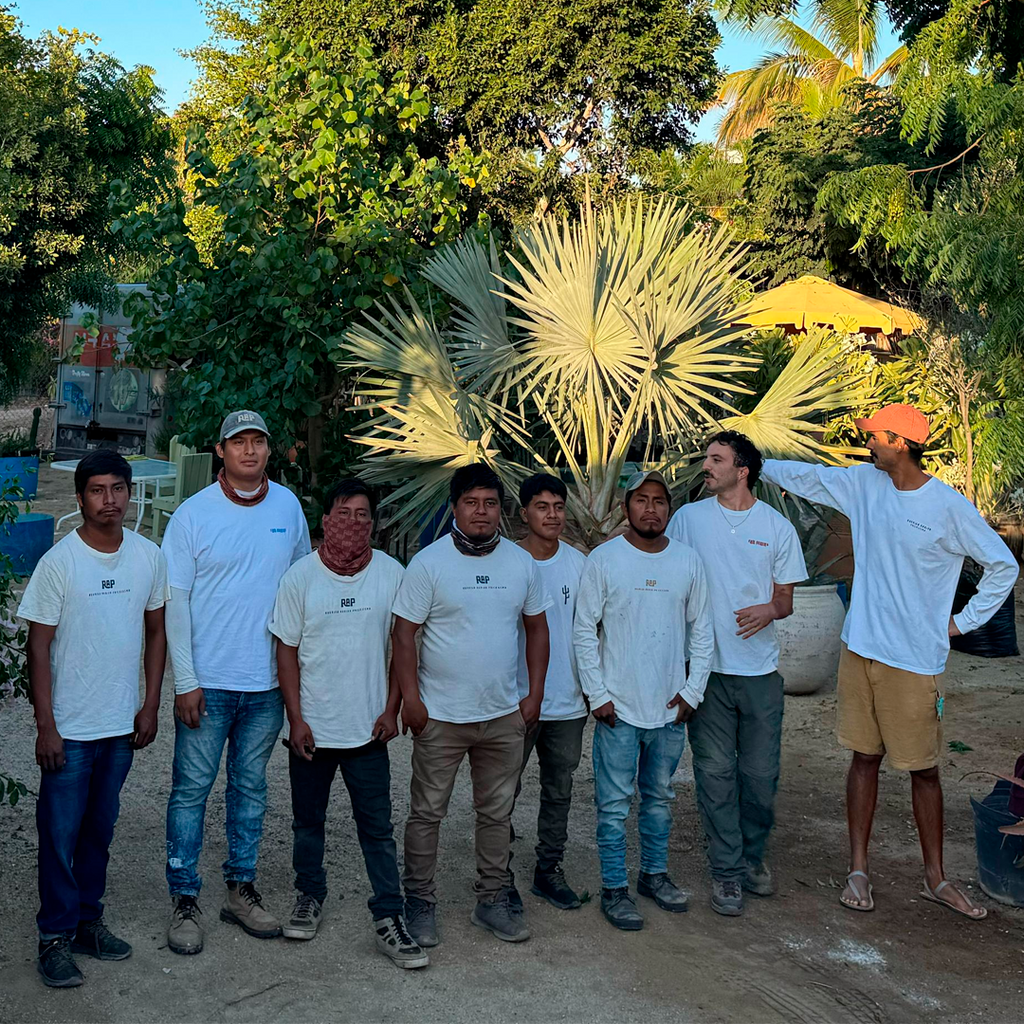 Diálogos del jardín mexicano