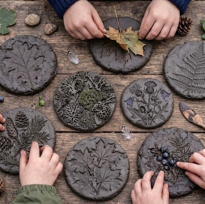 Exploradores del jardín