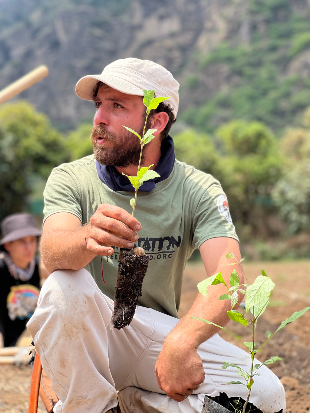 Chinampa y agroforestería: territorio productivo